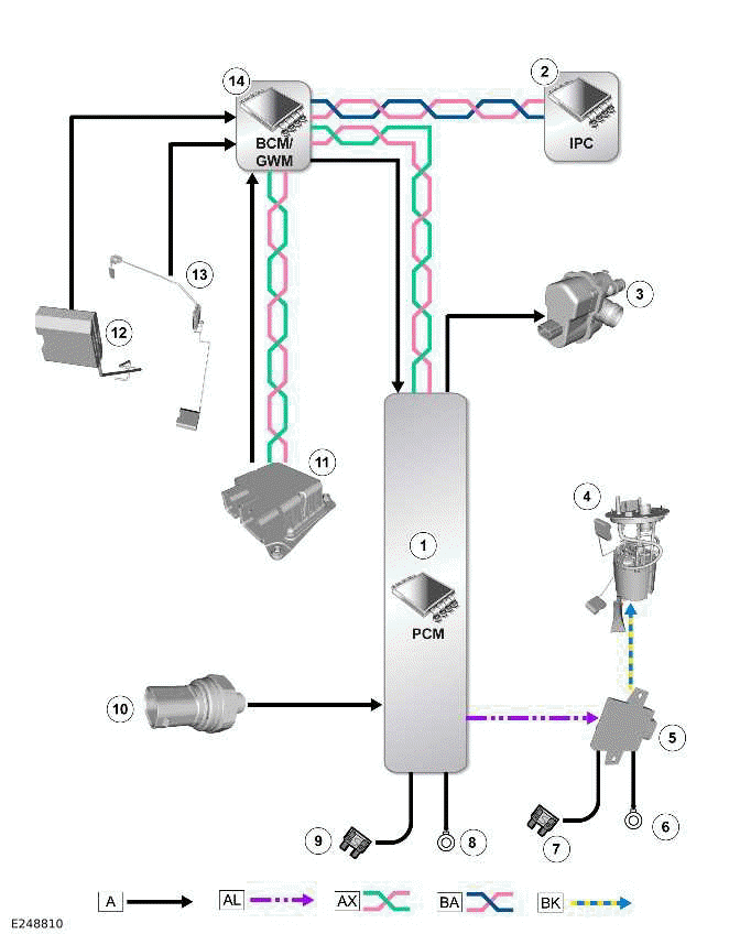 Fuel Tank and Lines